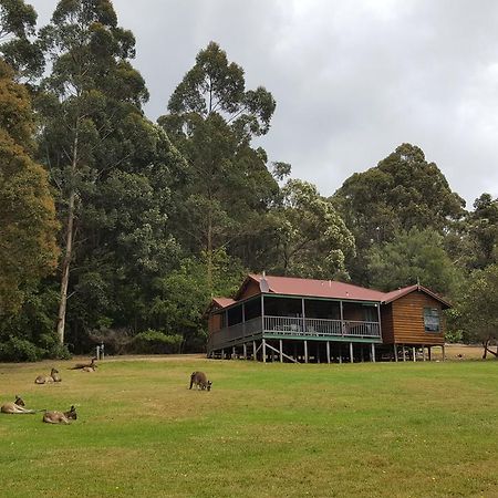 Walpole Wilderness Resort Eksteriør billede