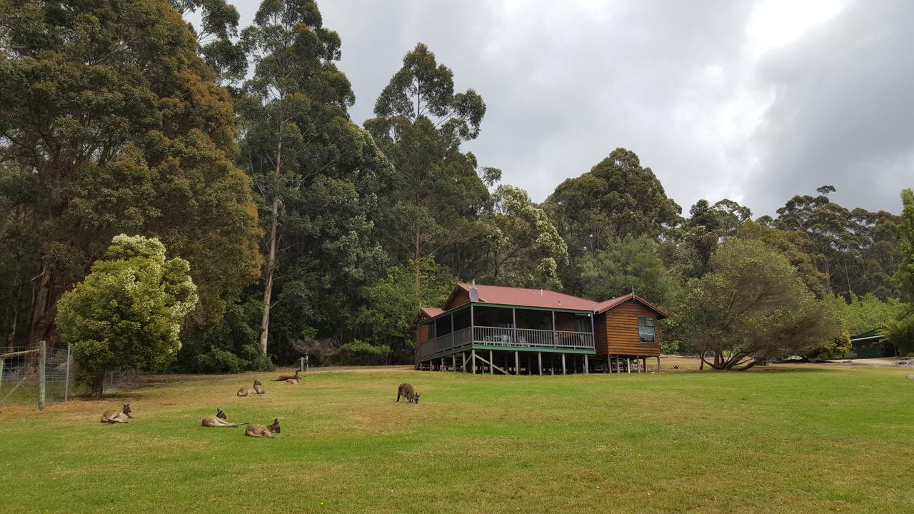 Walpole Wilderness Resort Eksteriør billede